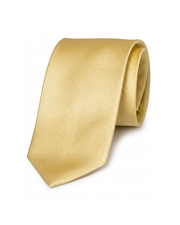 Champagne Gold Silk Tie
